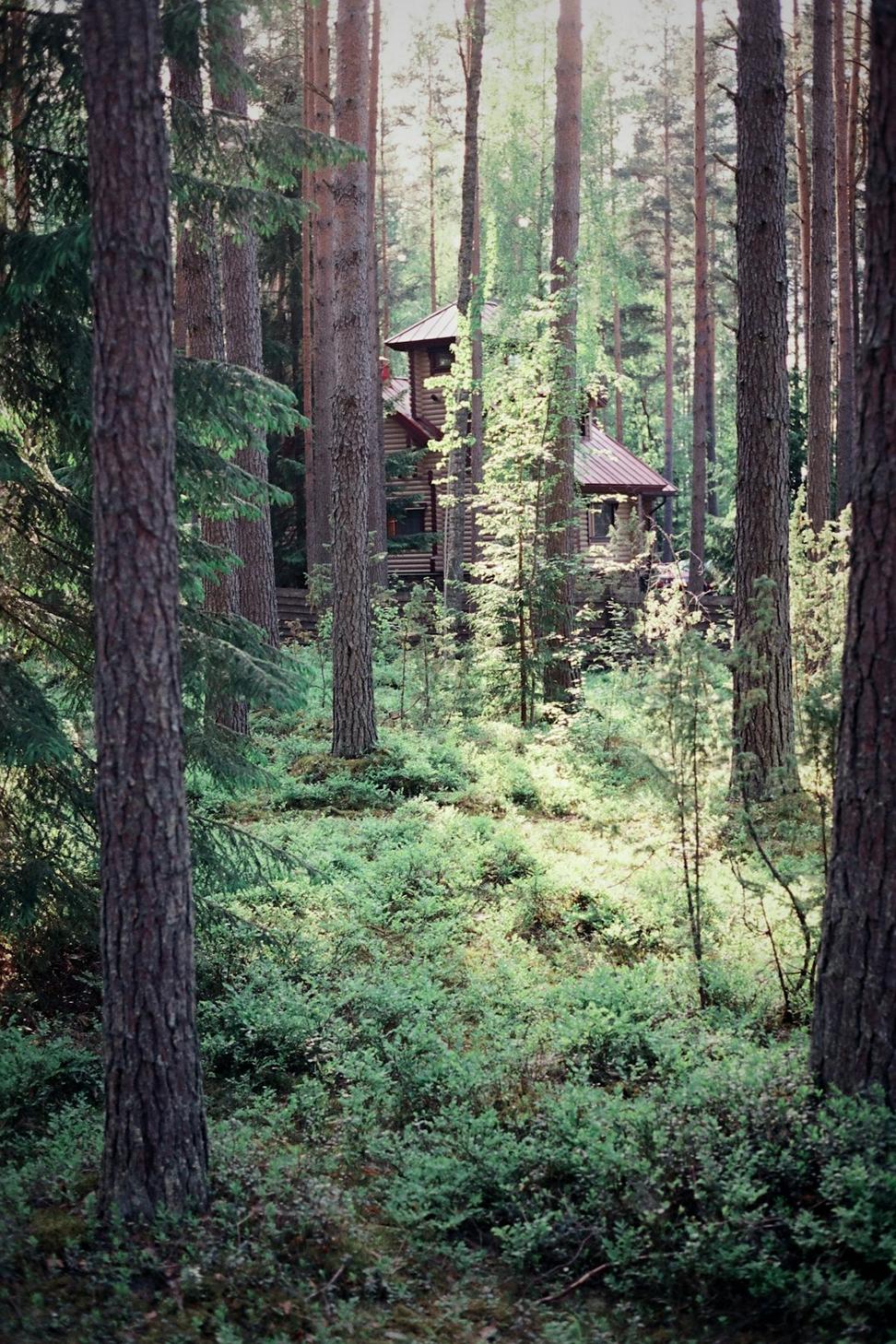 Small footprint dwelling