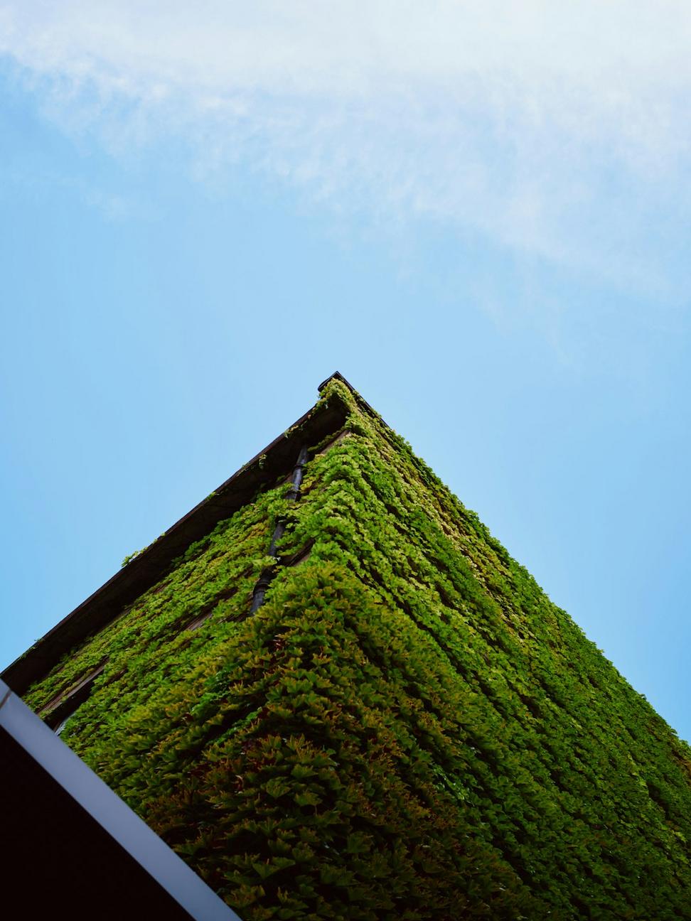 Commercial Green Building